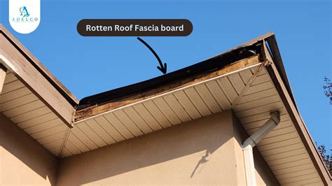 fascia roof replacement